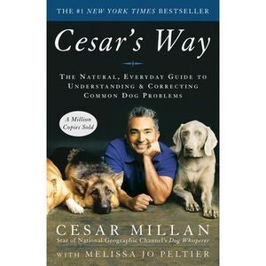 Cesar's Way: The Natural, Everyday Guide to Understanding and Correcting Common